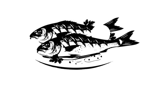 vector illustration of a black fish