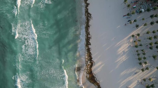 Aerial Top-Down View of Ocean Waves Crashing on Tropical Beach in Playa del Carmen Mexico