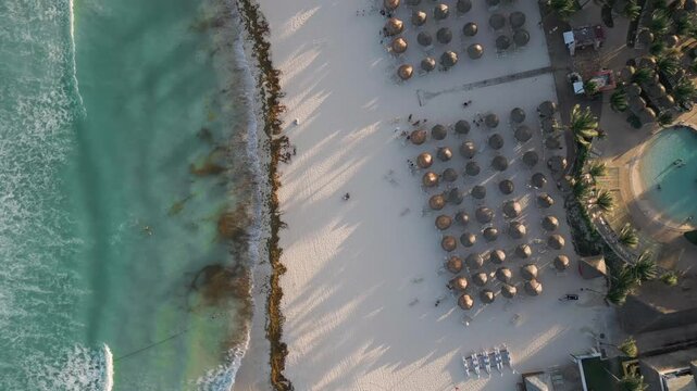 Aerial View of Tropical Beach Resort with Umbrellas and Ocean Waves in Playa del Carmen Mexico