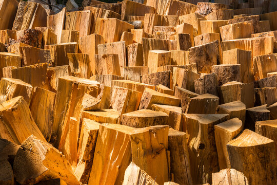 Canada, BC, Loon Lake.  Chopped firewood