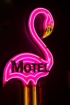 Canada, Alberta, Calgary.  Neon pink flamingo in Calgary Museum.