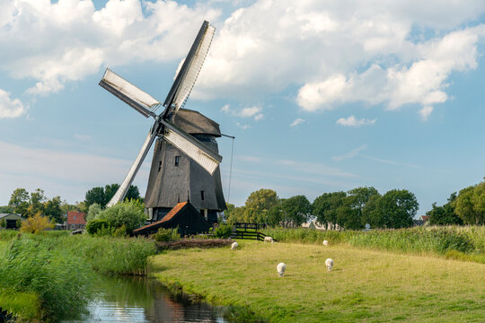Europe, Netherlands, Shermerhorn.  Museum Mill.  An old Dutch windmill preserved as a museum.