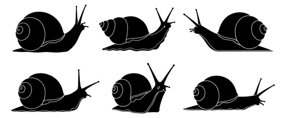 Eight black and white snails crawling in different directions across a white background © MSTLIPE