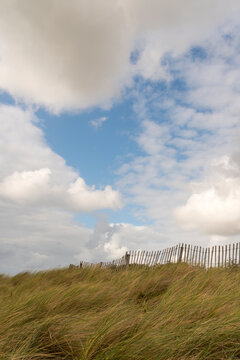 Netherlands, Bergen.  A wood fence across the top of grassy hill facing the North Sea.