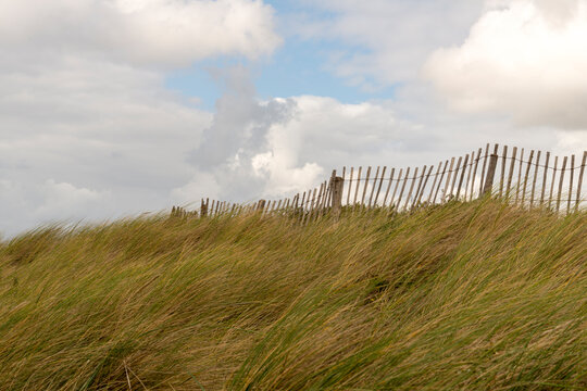 Netherlands, Bergen.  A wood fence across the top of grassy hill facing the North Sea.