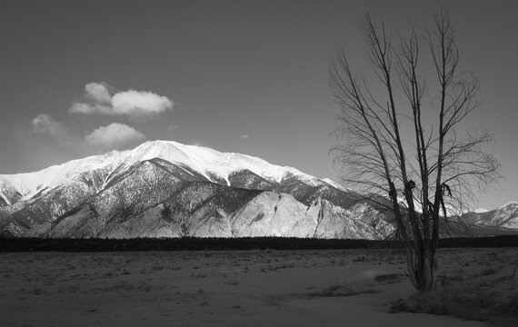 Mysterious Mountain and Tree Black and White