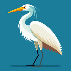 Obraz premium Une grande aigrette blanche dans les marécages du delta du Danube