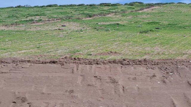 Rows of Quad Bikes and ATVs Parked at a Desert Rental Station Under a Blue Sky