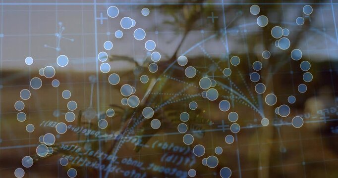 On sequence start circular-node overlay appearing over field, forming arcs and highlighting fern