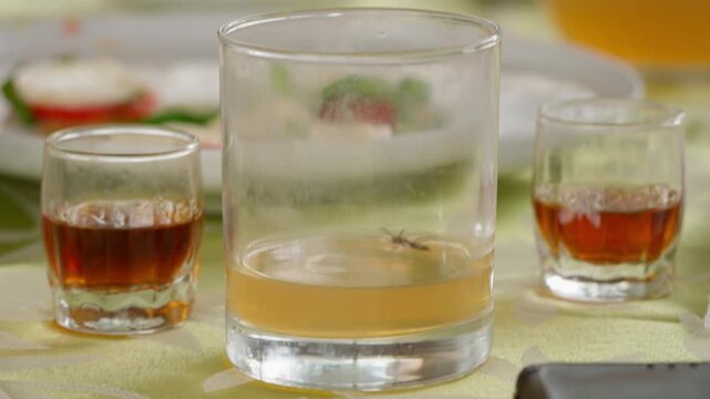 Close up view of small insect trapped inside glass of apple juice on outdoor table during summer.