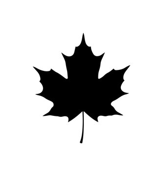 Black Maple Leaf Vector Illustration