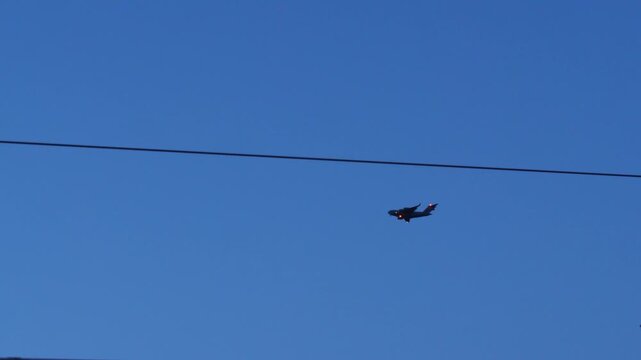 Boeing C-17A Globemaster Soaring Over Kaiserslautern Sky