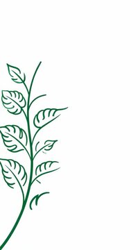 A detailed visual sequence illustrating the stages of plant growth from sprout to mature leaves, emphasizing biological development and natural progress.