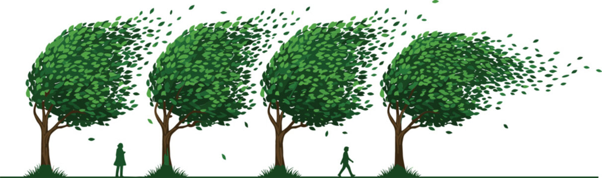 Vector illustration of a row of green trees bending and losing leaves in a strong wind or storm