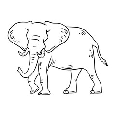 Fototapeta premium African Elephant Thin Line Illustration - Wildlife Animal Cartoon