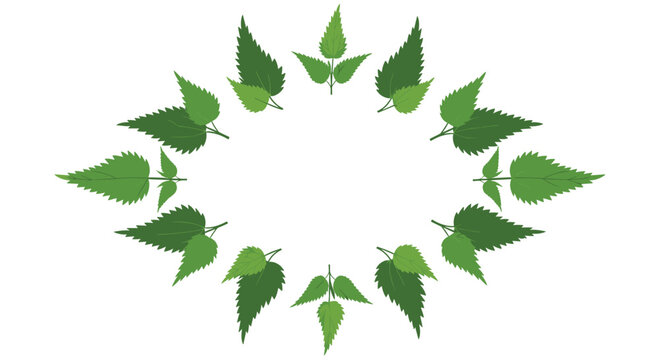 Symmetrical frame made of green stinging nettle leaves with serrated edges arranged in an oval shape around a white central space for text.
