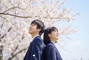 桜並木と桜を見上げる女子学生と男子学生