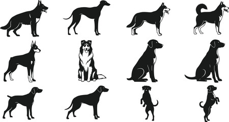 Black and white dog silhouettes illustration, multiple breeds, standing sitting poses, German Shepherd, Greyhound, Husky, Doberman, Labrador, Border Collie artwork © Rasida