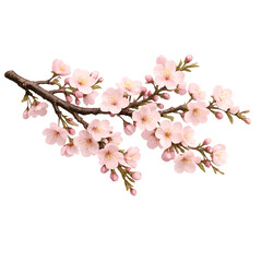 Obraz premium 3D Icon Cherry Blossom Branch with Pink Flowers for Spring Season and Floral Decoration Transparent Background