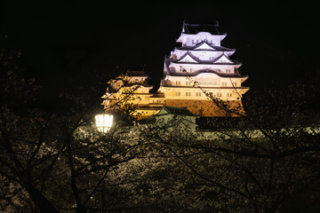 ライトアップされた姫路城　兵庫県姫路市にて