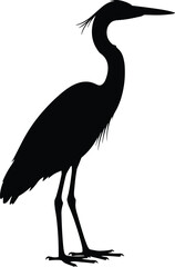 Obraz premium Heron bird silhouette, elegant wildlife artwork, black and white design, long neck illustration, standing bird graphic, minimalist avian symbol, artistic nature drawing