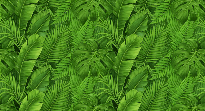 Green Palm Tree Leaves Closeup View.