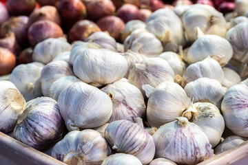 A high-angle shot showcasing heaps of fresh white garlic bulbs and purple red onions organized in plastic trays at a traditional fresh market.