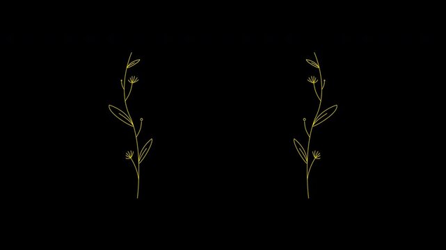 Floral Wreath Wedding Title Frame With Copy Space Loop Animation Alpha Channel