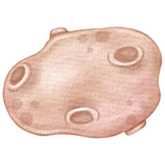 Watercolor comet © Zelin