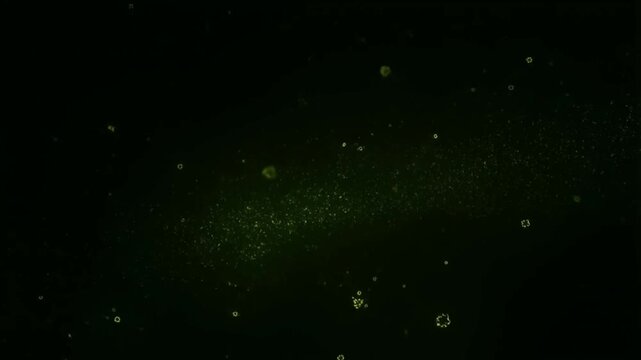 Seamless animation of countless tiny glowing shamrock-shaped particles drifting in depth on a dark background a magical and dreamy particle background for overlays