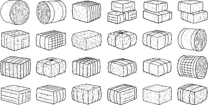 Hay Bales Line Art Illustration: Rustic Farm Element, Agriculture  Harvest Design