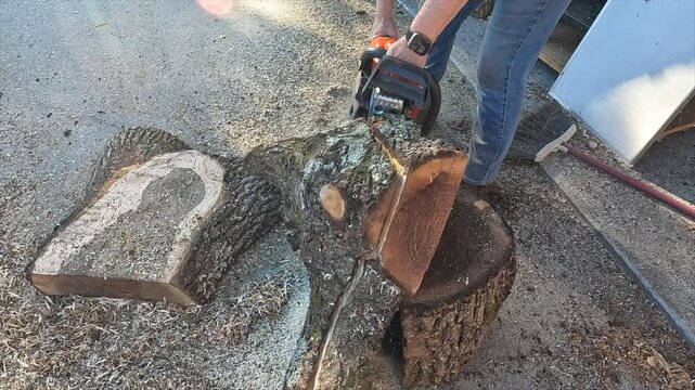 Chainsaw equipment work wood tool to cut tree into lumber 6