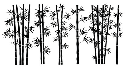 A dense grouping of bamboo stalks against a stark white background creating a striking silhouette high quality professional © Kuntol02