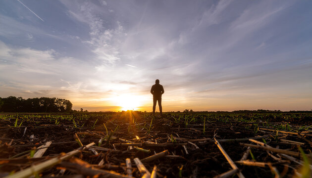 A lone figure stands amidst a field of crops at sunrise with reflections on the wet ground 592811 lmN.jpg