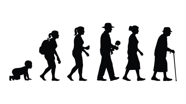 Human evolution from baby to old man isolated on white background, Vector