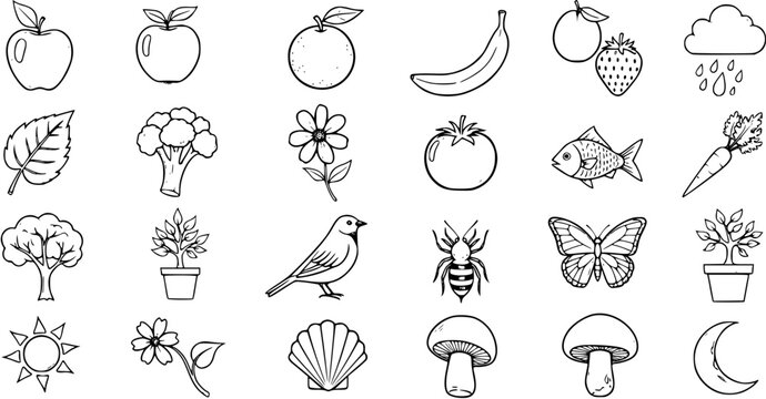 Nature Icons: A Collection of Line Art Illustrations for Ecology, Food, and Wildlife