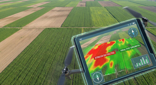 Aerial view of agricultural drone flying over vast crop fields with futuristic digital tablet interface displaying NDVI thermal map for crop health monitoring and stress detection.