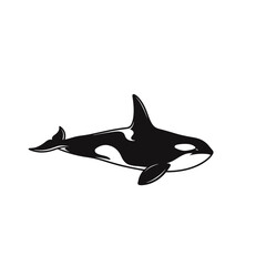 Obraz premium Stylized black and white illustration of an orca killer whale swimming