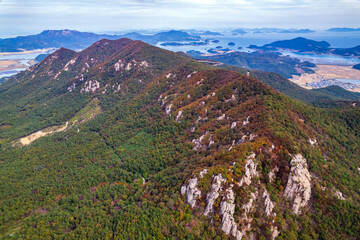 전남 고흥군 마복산의 가을