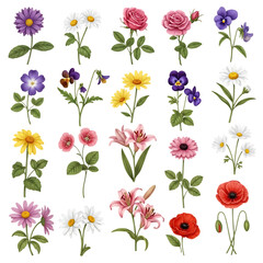 Fototapeta premium A vibrant and diverse collection of colorful flowers arranged in a delightful pattern.