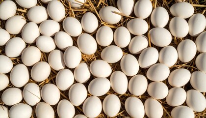 A captivating flat-lay of fresh duck eggs nestled on a golden straw bed