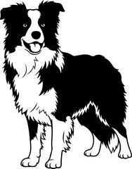 Fototapeta premium Border collie silhouette vector illustration