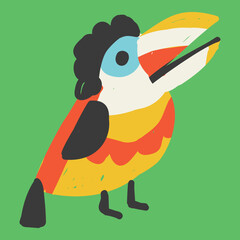 Flat vector illustration of curl crested aracari toucan with distinctive curly crest and large beak, standing with eyes open in playful tropical style.