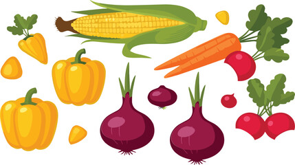 Fresh Farm Vegetables Vector Set with Corn, Carrot, Onion, Pepper and Radish Illustration