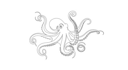 Stylized octopus line art illustration on a white background © musa