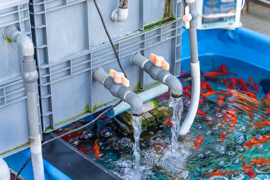 water filter for fishpond using a plastic container and a PVC pipe