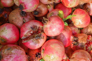 빨갛게 익은 석류과일