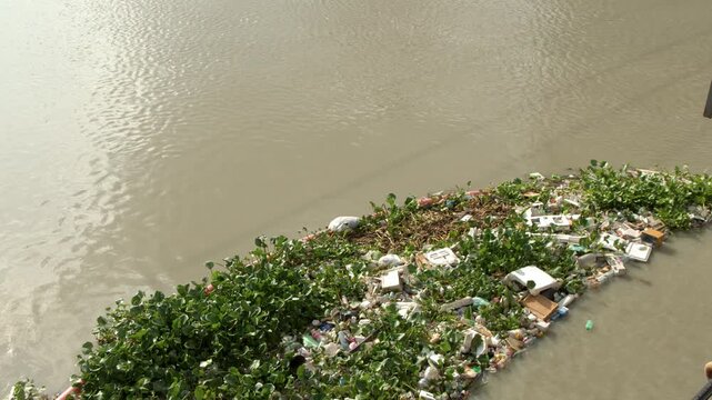 Plastic Waste and Water Hyacinth Floating on the Pasig River