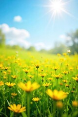 Fototapeta premium A vibrant, sunlit field of yellow wildflowers swaying gently in a summer breeze, creating a cheerful and airy atmosphere Perfect for nature, spring, or happiness themes , plant, sunshine