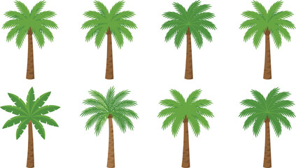 Collection of tropical palm trees isolated on white background, lush green coconut and date palms for summer travel, beach landscape design, botanical illustration and exotic nature theme © Golapi Expressive